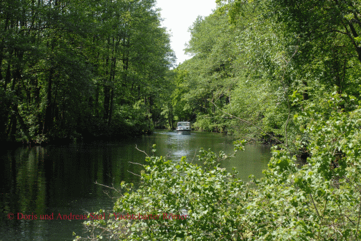 Natur pur am Bolter Kanal