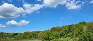 Bucht - Müritzarm Richtung Buchholz