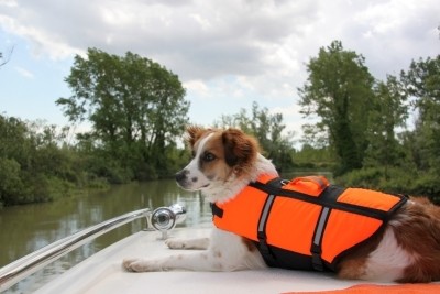 Hausboot Urlaub mit Hund